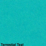 Terrestrial Teal