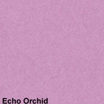 Echo Orchid