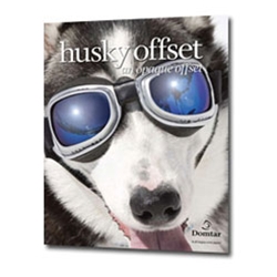 Husky Opaque Offset